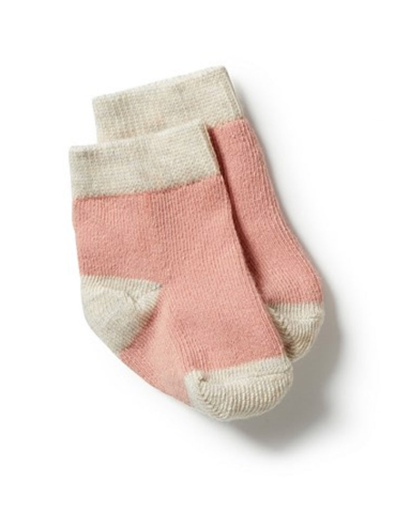 Wilson and Frenchy Organic Baby Socks